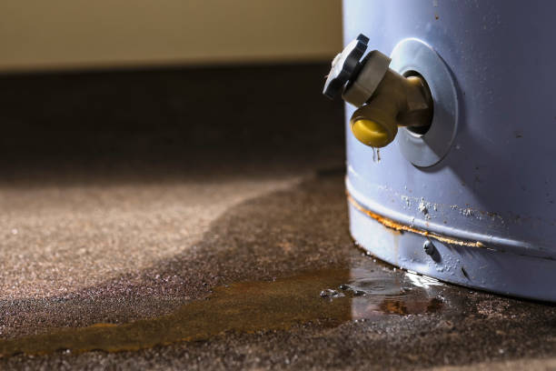 Best Flood damage cleanup  in Thompsons Station, TN