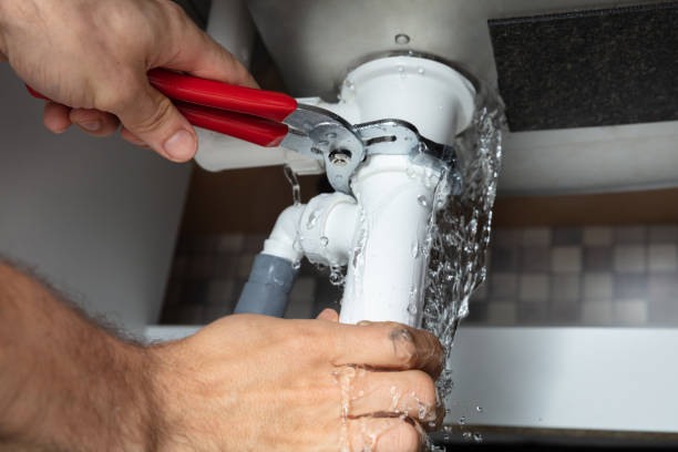 Best Ceiling water damage repair  in Thompsons Station, TN