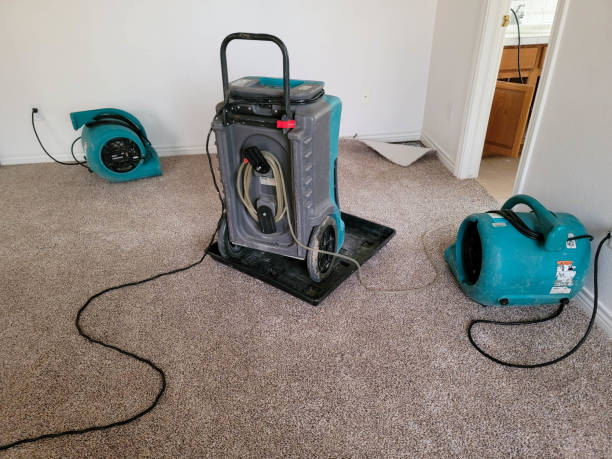 Best Water damage restoration specialists  in Thompsons Station, TN