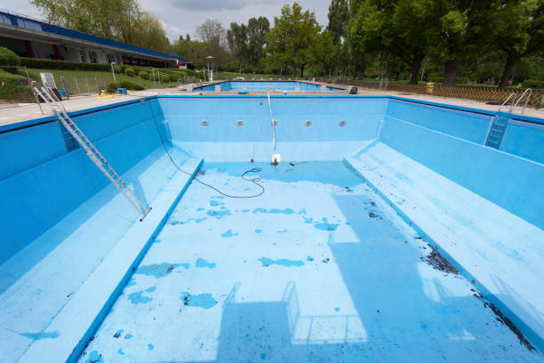 Best Local water damage restoration  in Thompsons Station, TN