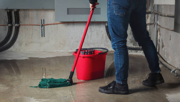 Best Flood damage cleanup  in Thompsons Station, TN