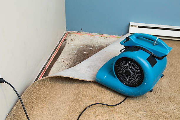 Best 24/7 water damage repair  in Thompsons Station, TN